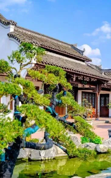 如何通过模拟比赛环境提升投篮表现_2
